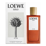 Loewe Solo Atlas