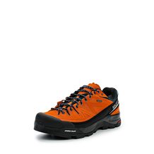 Salomon   X ALP LTR GTX