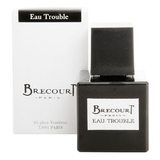 Brecourt Eau Trouble